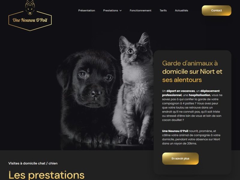 Une Nounou O’Poil